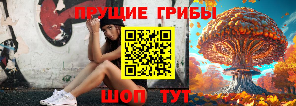купить закладку  Галлюциногенные грибы Magic Shrooms  Вход с VPN  Кизилюрт 
